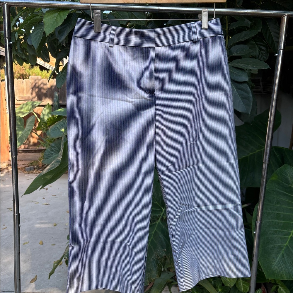 Briggs New York Blue Striped Cropped Pants